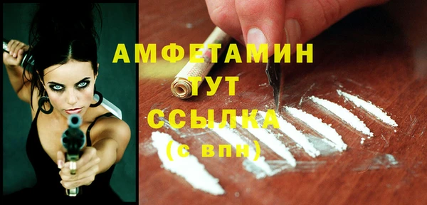 индика Болотное