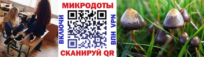 Галлюциногенные грибы MAGIC MUSHROOMS  это телеграм  Самара  mega ССЫЛКА 