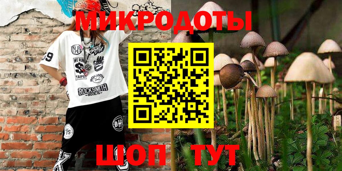 Псилоцибиновые грибы Psilocybe Самара