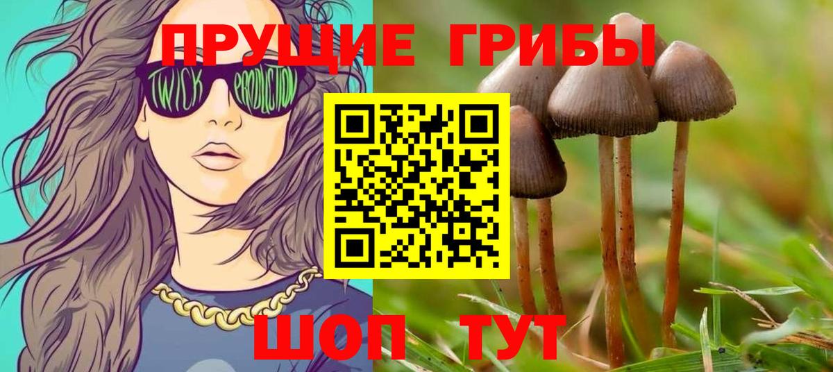 Галлюциногенные грибы прущие грибы  где найти   Самара  Вход с VPN 