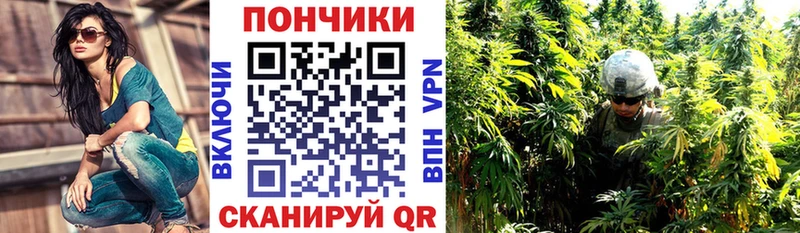 Конопля гибрид Самара