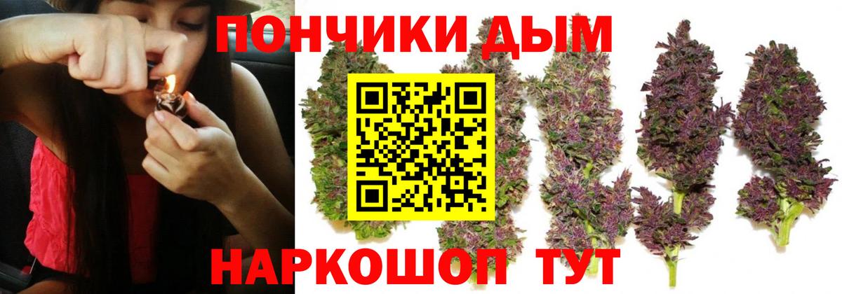 Конопля Самара
